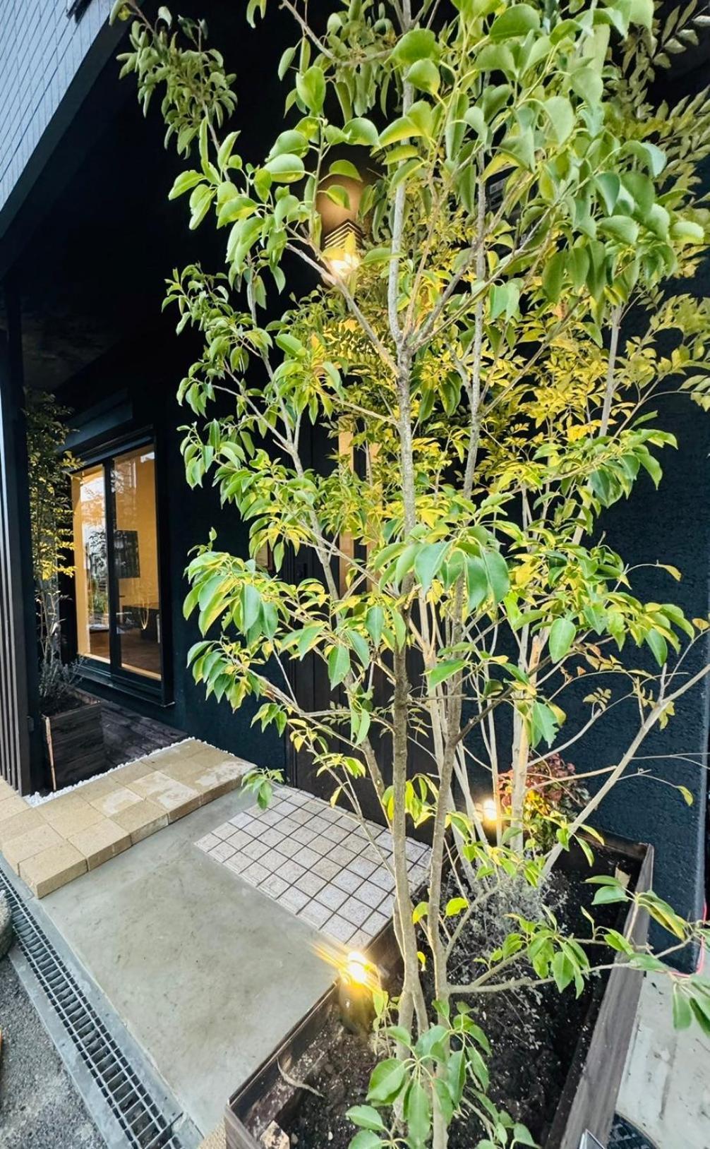 Tengachaya House Osaka Exterior foto